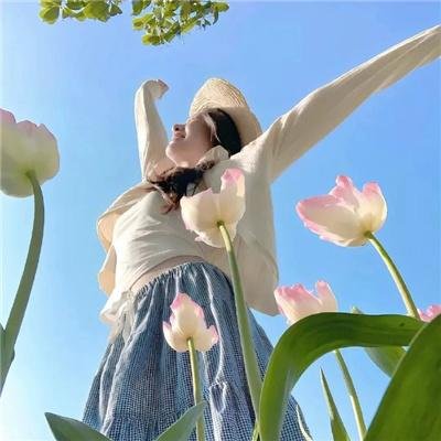 机器肉鸡第六季