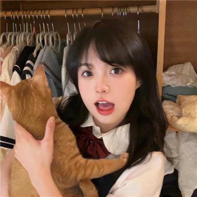 航向热带岛屿的冰山